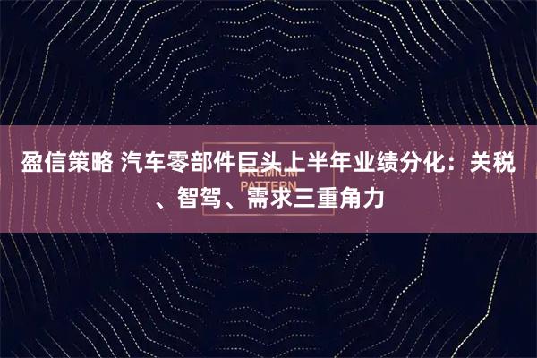 盈信策略 汽车零部件巨头上半年业绩分化：关税、智驾、需求三重角力