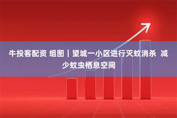 牛投客配资 组图｜望城一小区进行灭蚊消杀  减少蚊虫栖息空间