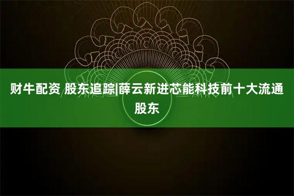 财牛配资 股东追踪|薛云新进芯能科技前十大流通股东