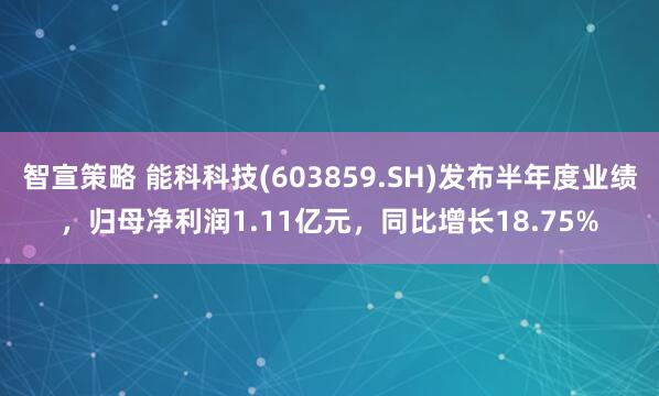 智宣策略 能科科技(603859.SH)发布半年度业绩，归母净利润1.11亿元，同比增长18.75%